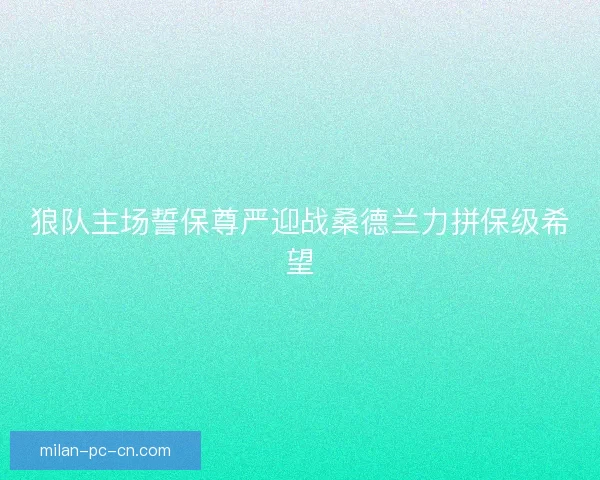 狼队主场誓保尊严迎战桑德兰力拼保级希望
